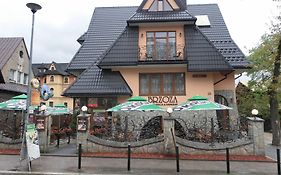 Brzoza w centrum Zakopanego